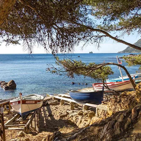 Apartment Provence Azur - Grand Avec Piscine Proche Mediterranee La Seyne-sur-Mer